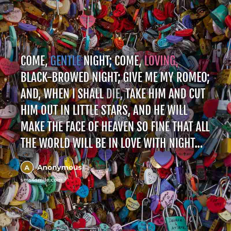 “Come, gentle night; come, loving, black-browed night; Give me my Romeo; and, when I shall die, Take him and cut him out in little stars, And he will make the face of heaven so fine That all the world will be in love with night...” quote by Anonymous