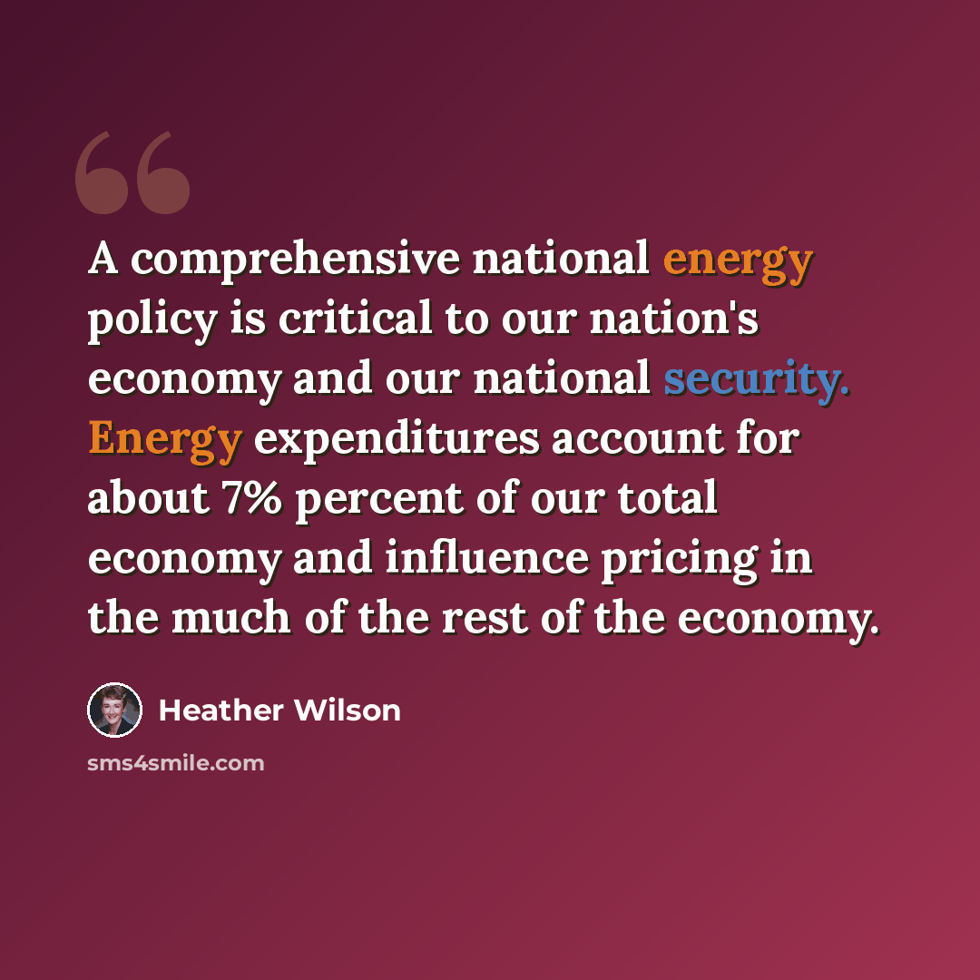 “A comprehensive national energy policy is critical to our nation's economy and our national security. Energy expenditures account for about 7% percent of our total economy and influence pricing in the much of the rest of the economy.” quote by Heather Wilson