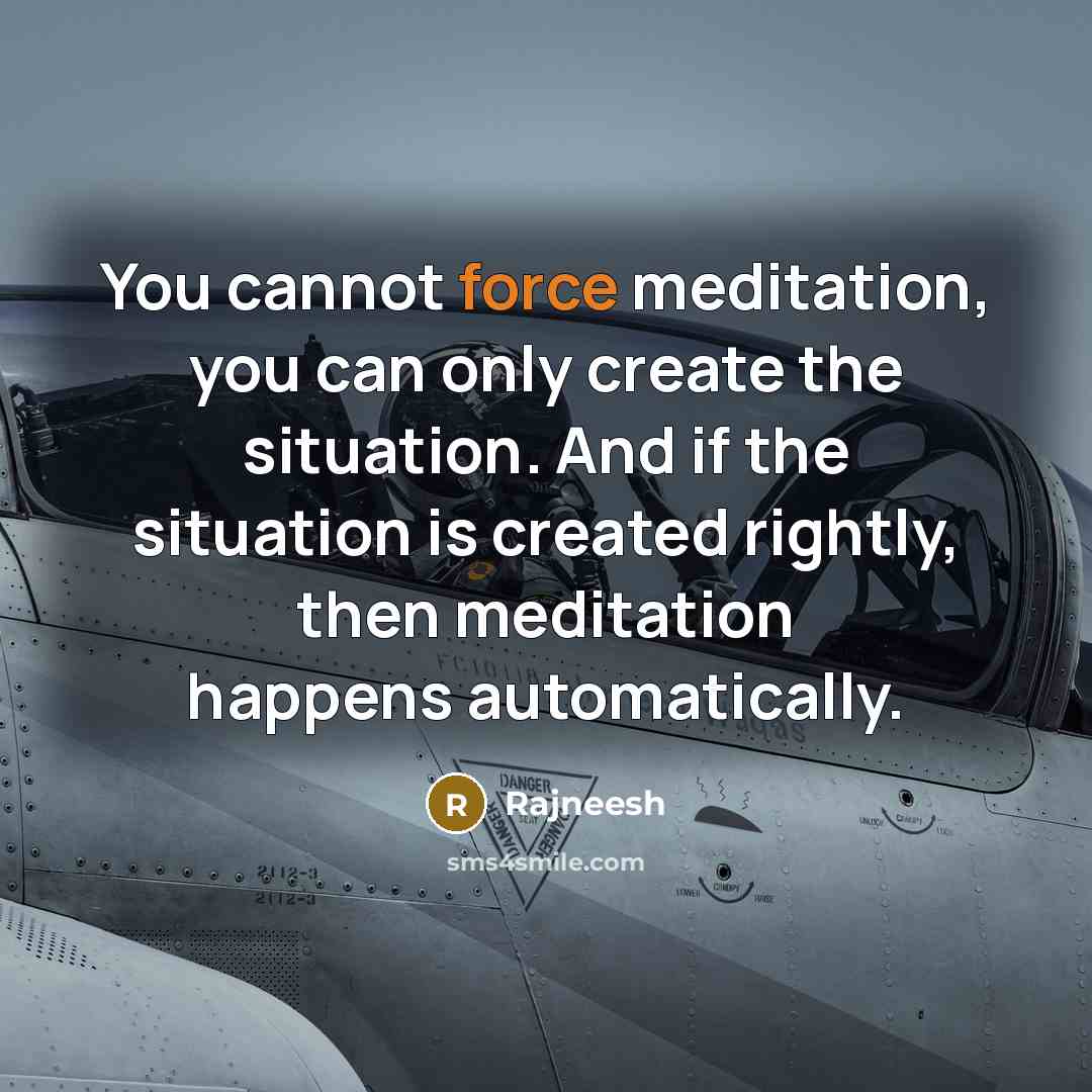 “You cannot force meditation, you can only create the situation. And if the situation is created rightly, then meditation happens automatically.” quote by Rajneesh