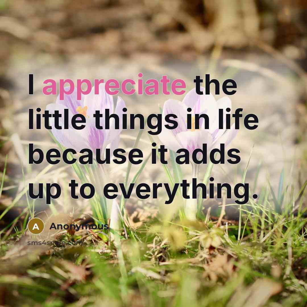 “I appreciate the little things in life because it adds up to everything.” quote by Anonymous