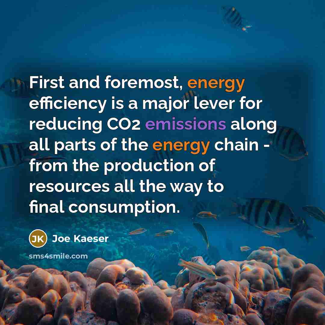“First and foremost, energy efficiency is a major lever for reducing CO2 emissions along all parts of the energy chain - from the production of resources all the way to final consumption.” quote by Joe Kaeser
