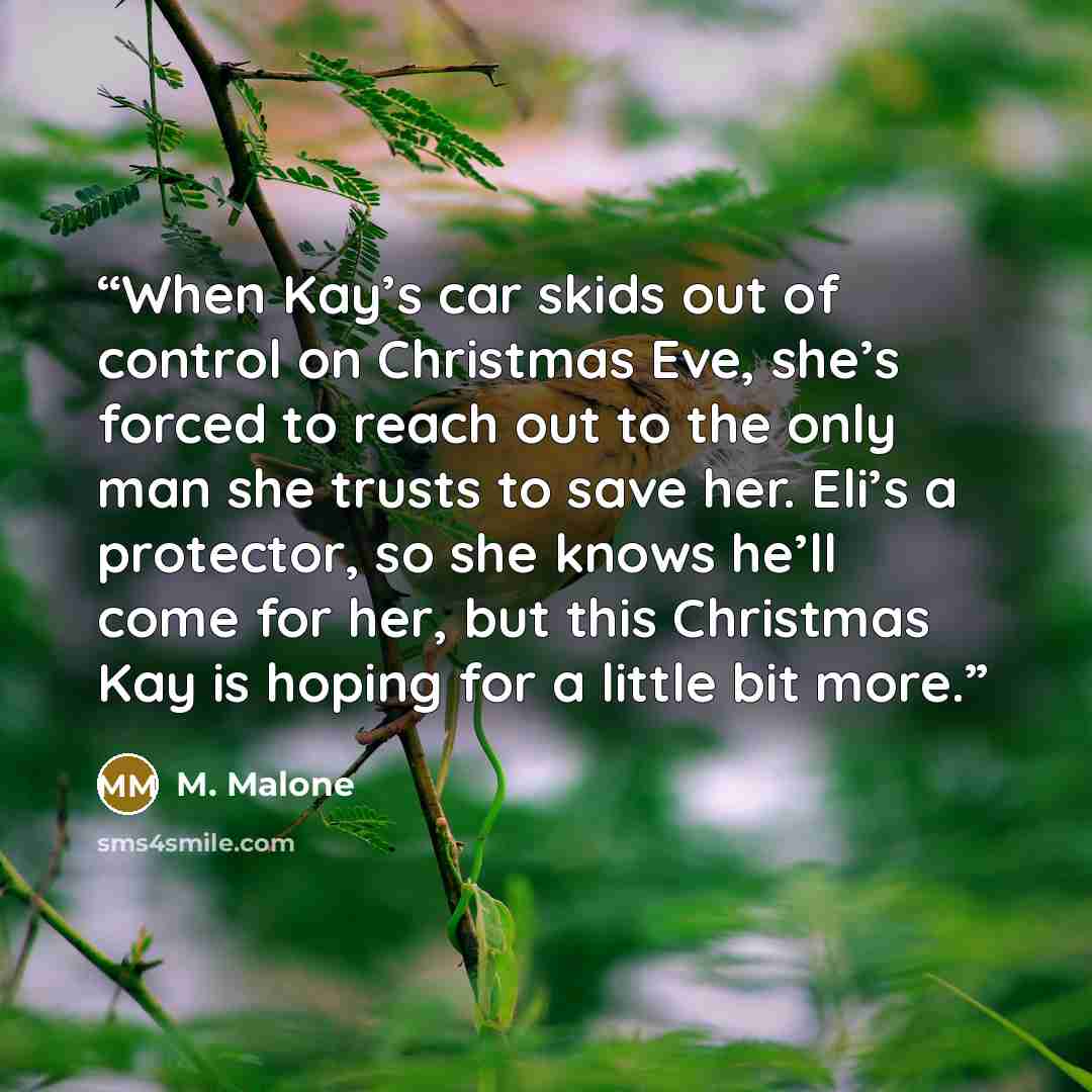 “When Kay’s car skids out of control on Christmas Eve, she’s forced to reach out to the only man she trusts to save her. Eli’s a protector, so she knows he’ll come for her, but this Christmas Kay is hoping for a little bit more.” quote by M. Malone