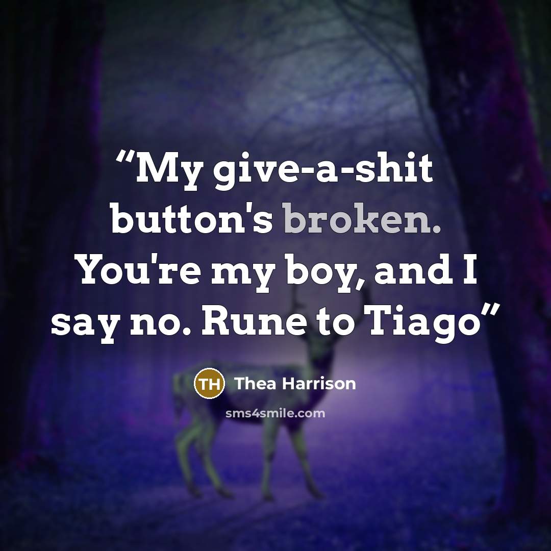 “My give-a-shit button's broken. You're my boy, and I say no. Rune to Tiago” quote by Thea Harrison