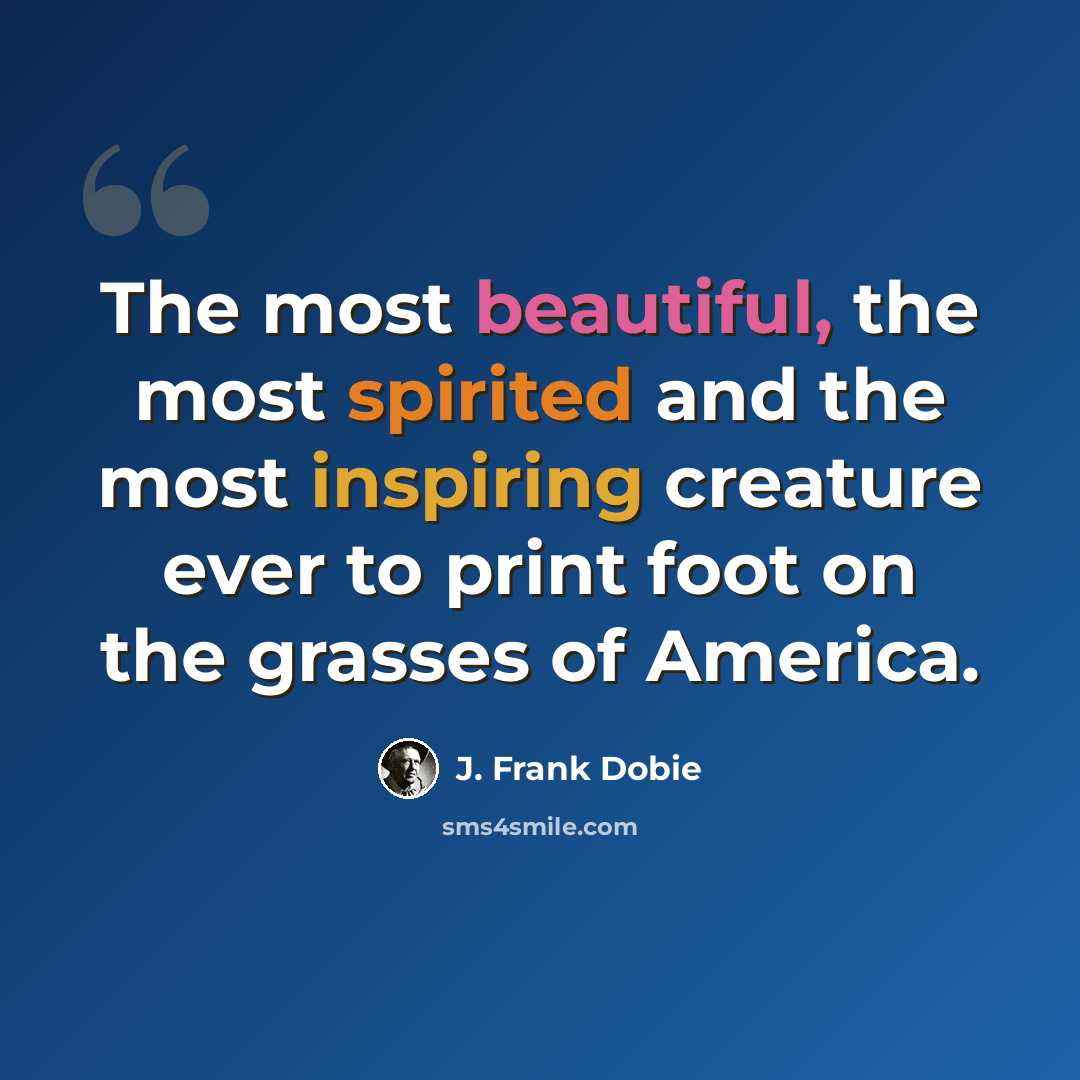 “The most beautiful, the most spirited and the most inspiring creature ever to print foot on the grasses of America.” quote by J. Frank Dobie