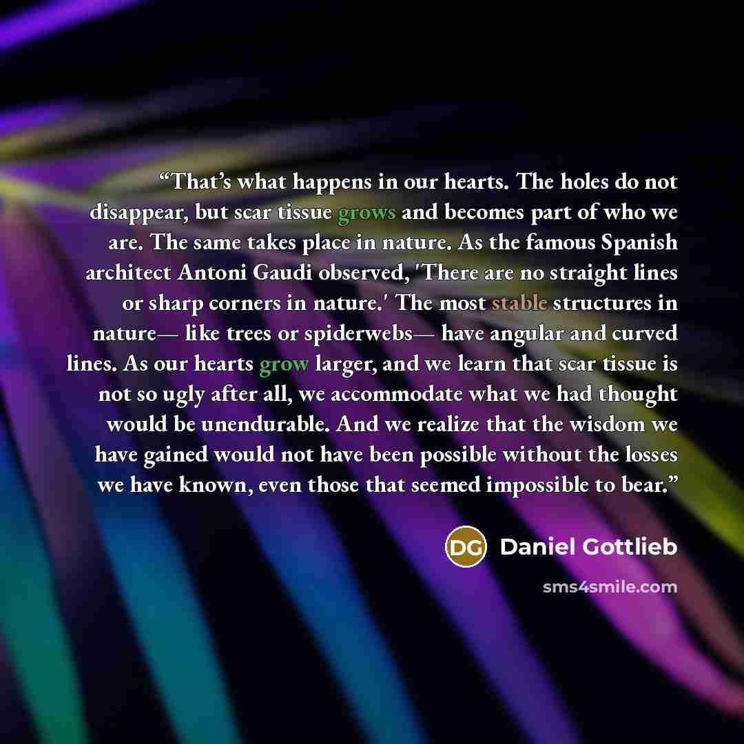 “That’s what happens in our hearts. The holes do not disappear, but scar tissue grows and becomes part of who we are. The same takes place in nature. As the famous Spanish architect Antoni Gaudi observed, 'There are no straight lines or sharp corners in nature.' The most stable structures in…” quote by Daniel Gottlieb
