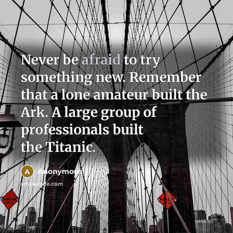 “Never be afraid to try something new. Remember that a lone amateur built the Ark. A large group of professionals built the Titanic.” quote by Anonymous