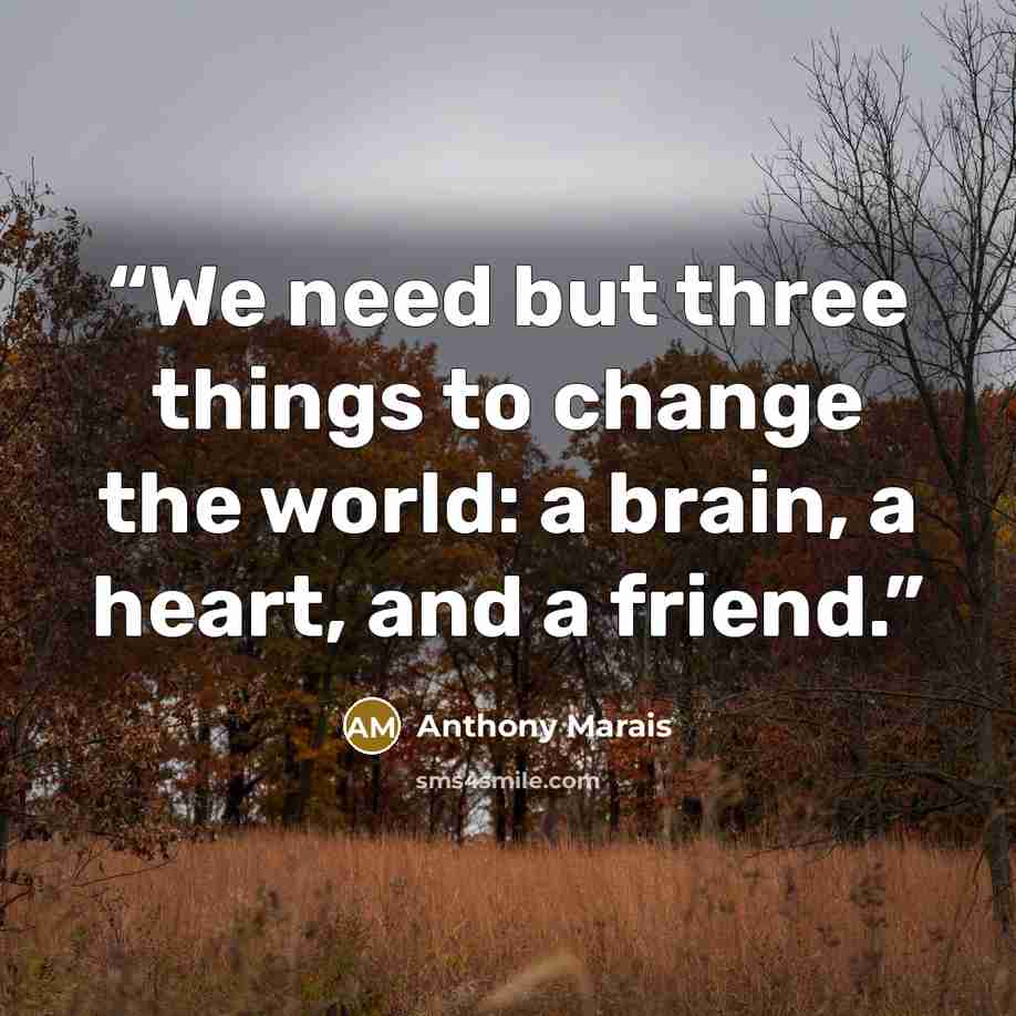 “We need but three things to change the world: a brain, a heart, and a friend.” quote by Anthony Marais