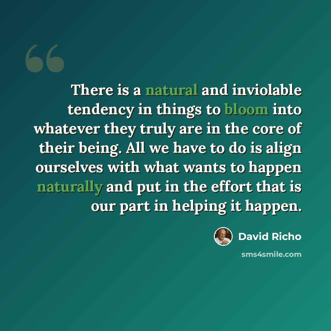“There is a natural and inviolable tendency in things to bloom into whatever they truly are in the core of their being. All we have to do is align ourselves with what wants to happen naturally and put in the effort that is our part in helping it happen.” quote by David Richo