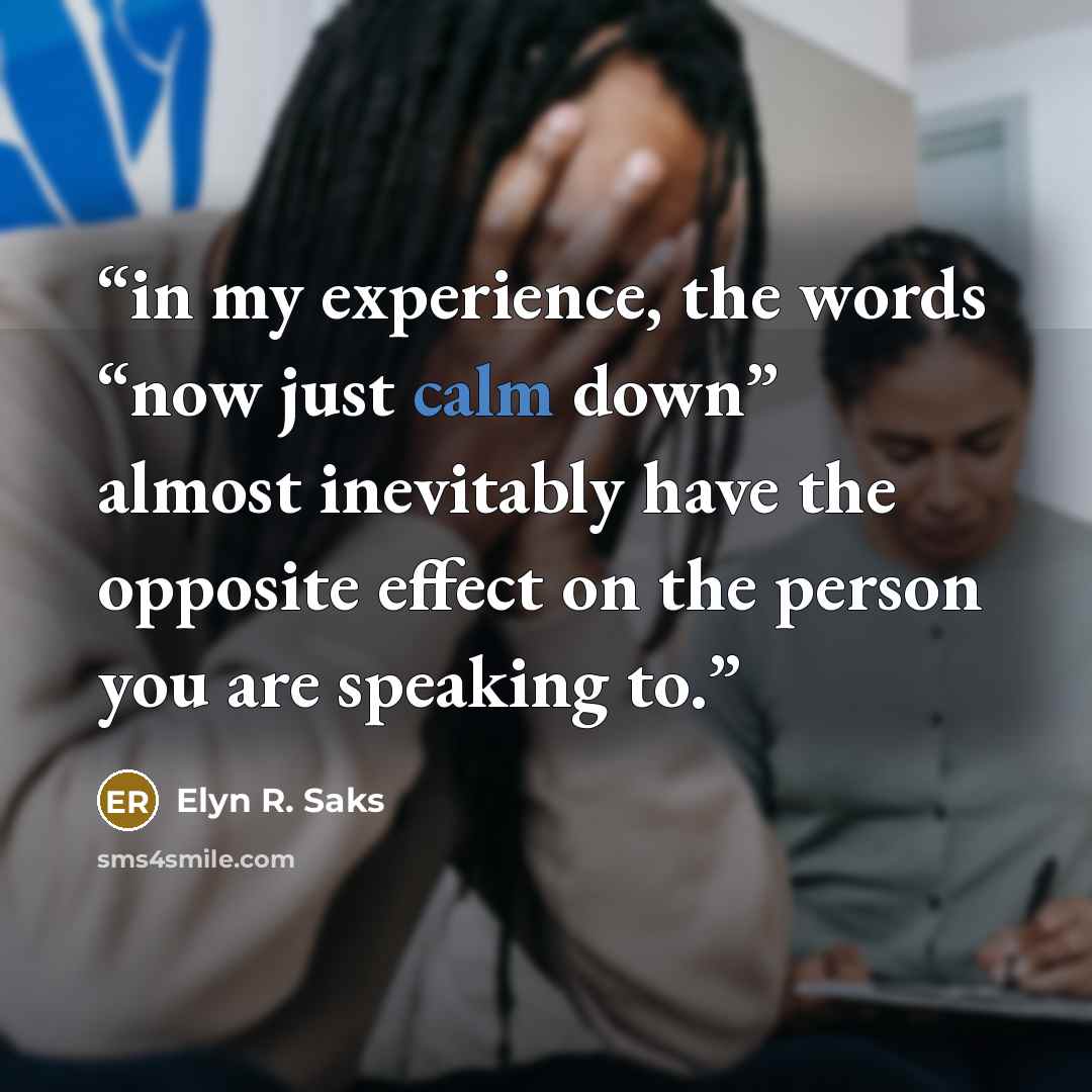 “in my experience, the words “now just calm down” almost inevitably have the opposite effect on the person you are speaking to.” quote by Elyn R. Saks