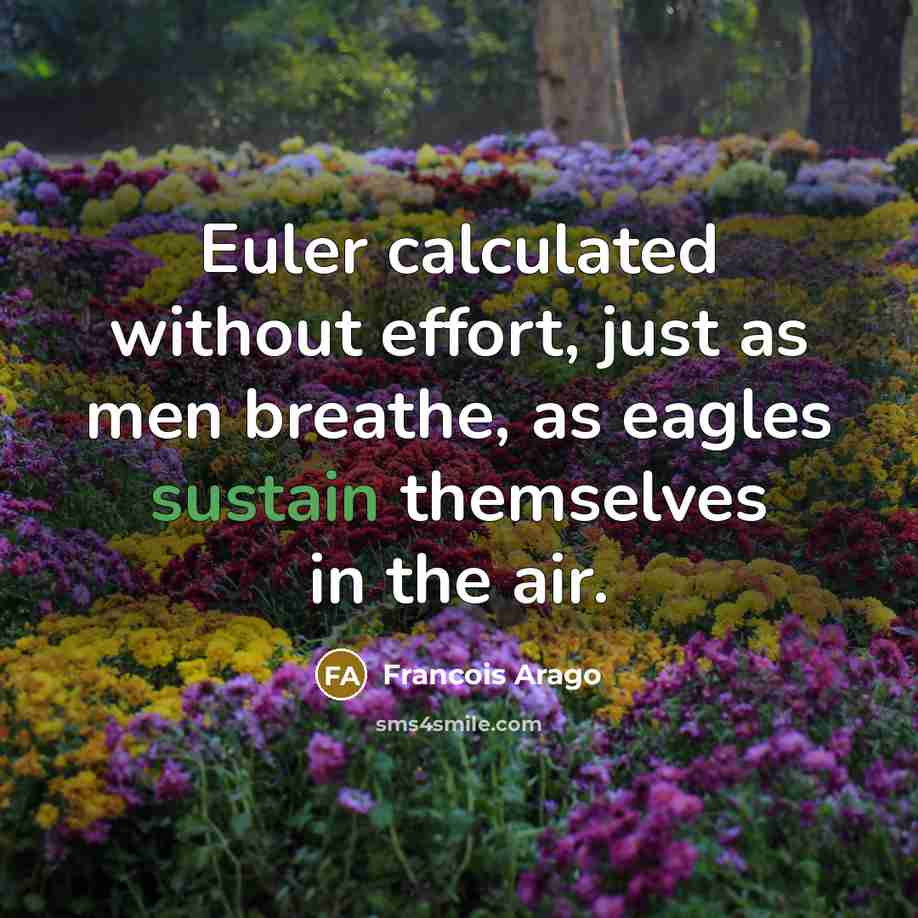 “Euler calculated without effort, just as men breathe, as eagles sustain themselves in the air.” quote by Francois Arago