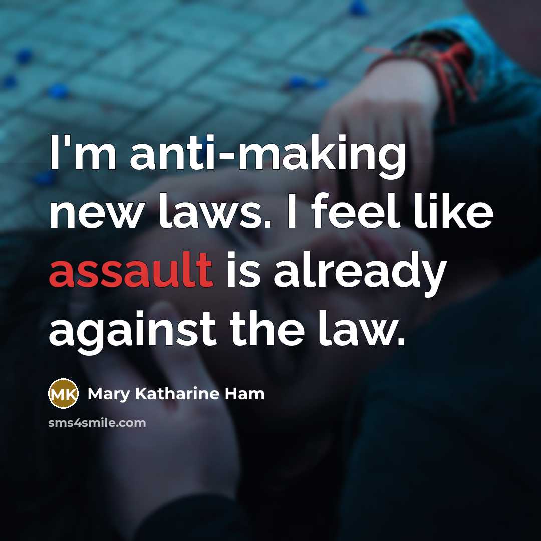 “I'm anti-making new laws. I feel like assault is already against the law.” quote by Mary Katharine Ham