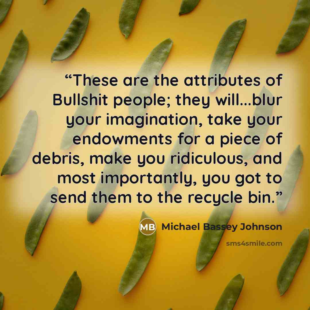 “These are the attributes of Bullshit people; they will...blur your imagination, take your endowments for a piece of debris, make you ridiculous, and most importantly, you got to send them to the recycle bin.” quote by Michael Bassey Johnson