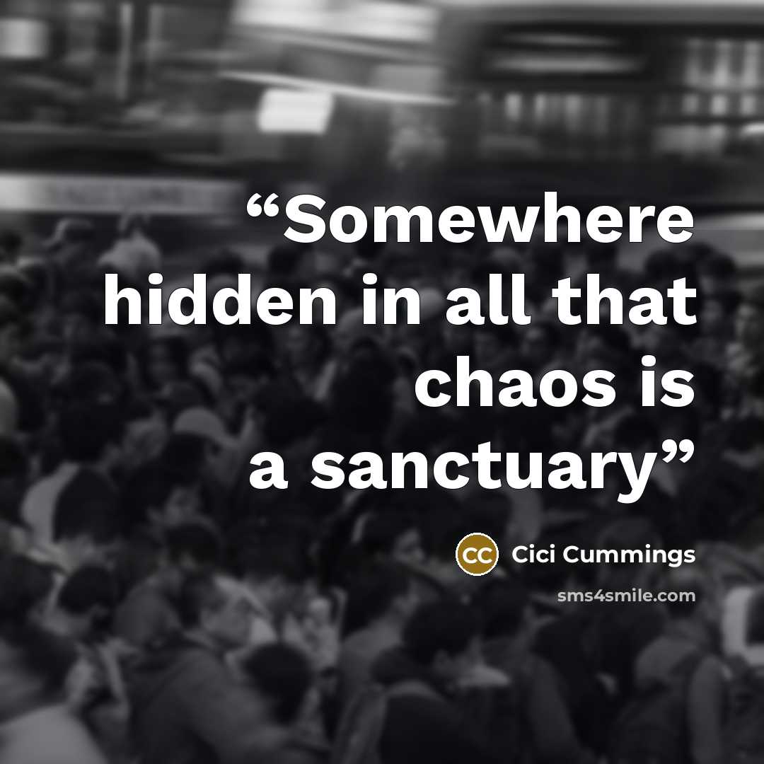 “Somewhere hidden in all that chaos is a sanctuary” quote by Cici Cummings