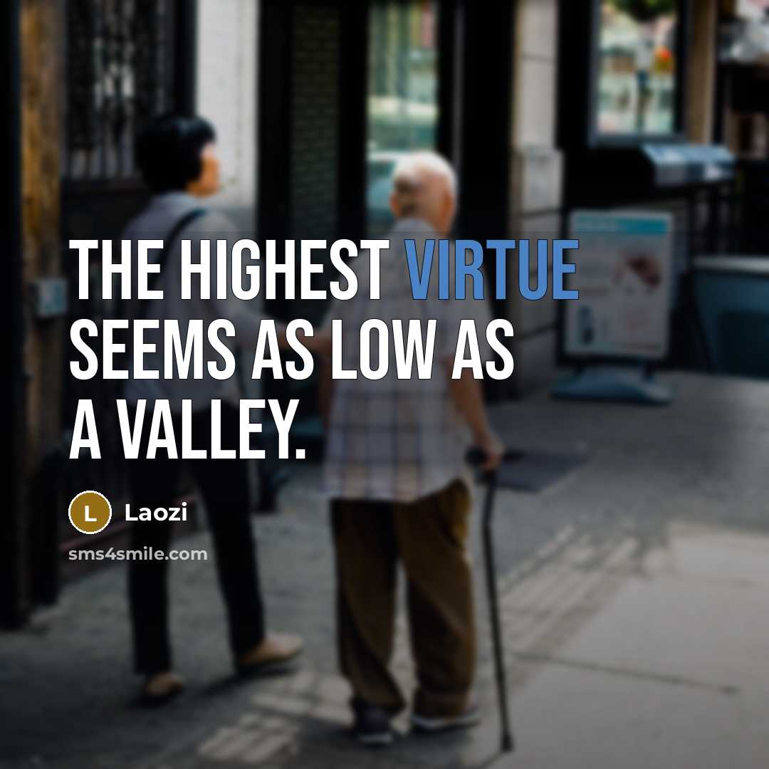 “The highest virtue seems as low as a valley.” quote by Laozi