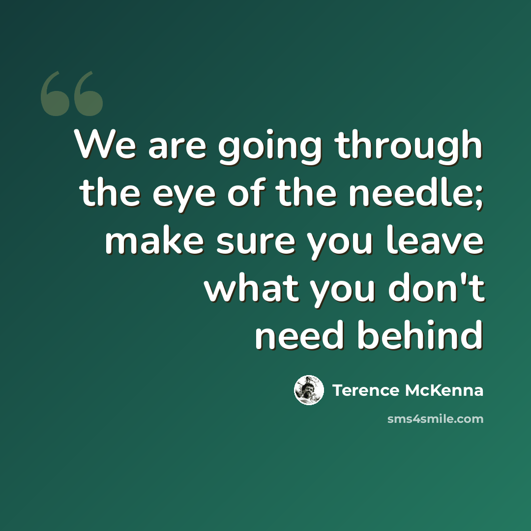 “We are going through the eye of the needle; make sure you leave what you don't need behind” quote by Terence McKenna