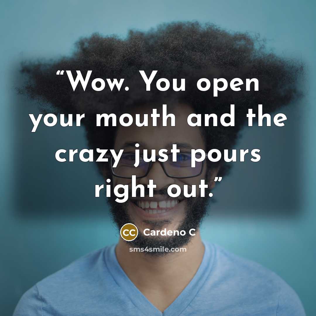 “Wow. You open your mouth and the crazy just pours right out.” quote by Cardeno C
