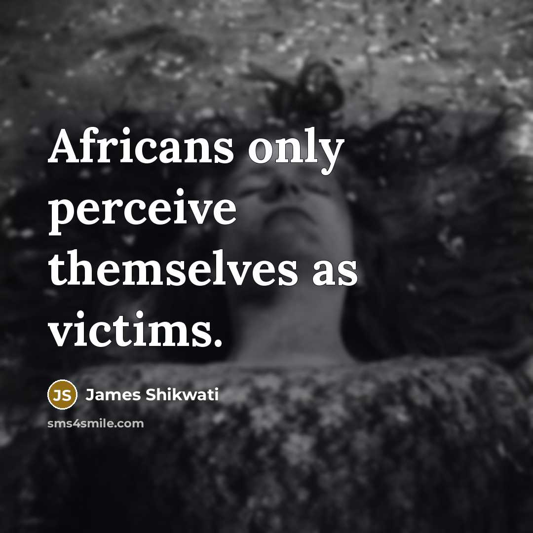 “Africans only perceive themselves as victims.” quote by James Shikwati