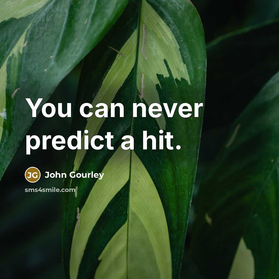 “You can never predict a hit.” quote by John Gourley