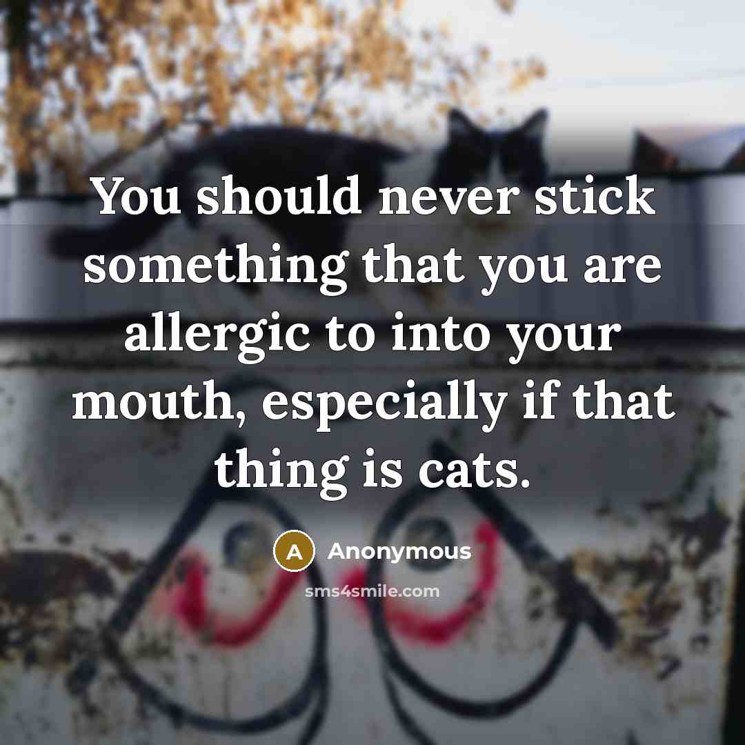 “You should never stick something that you are allergic to into your mouth, especially if that thing is cats.” quote by Anonymous