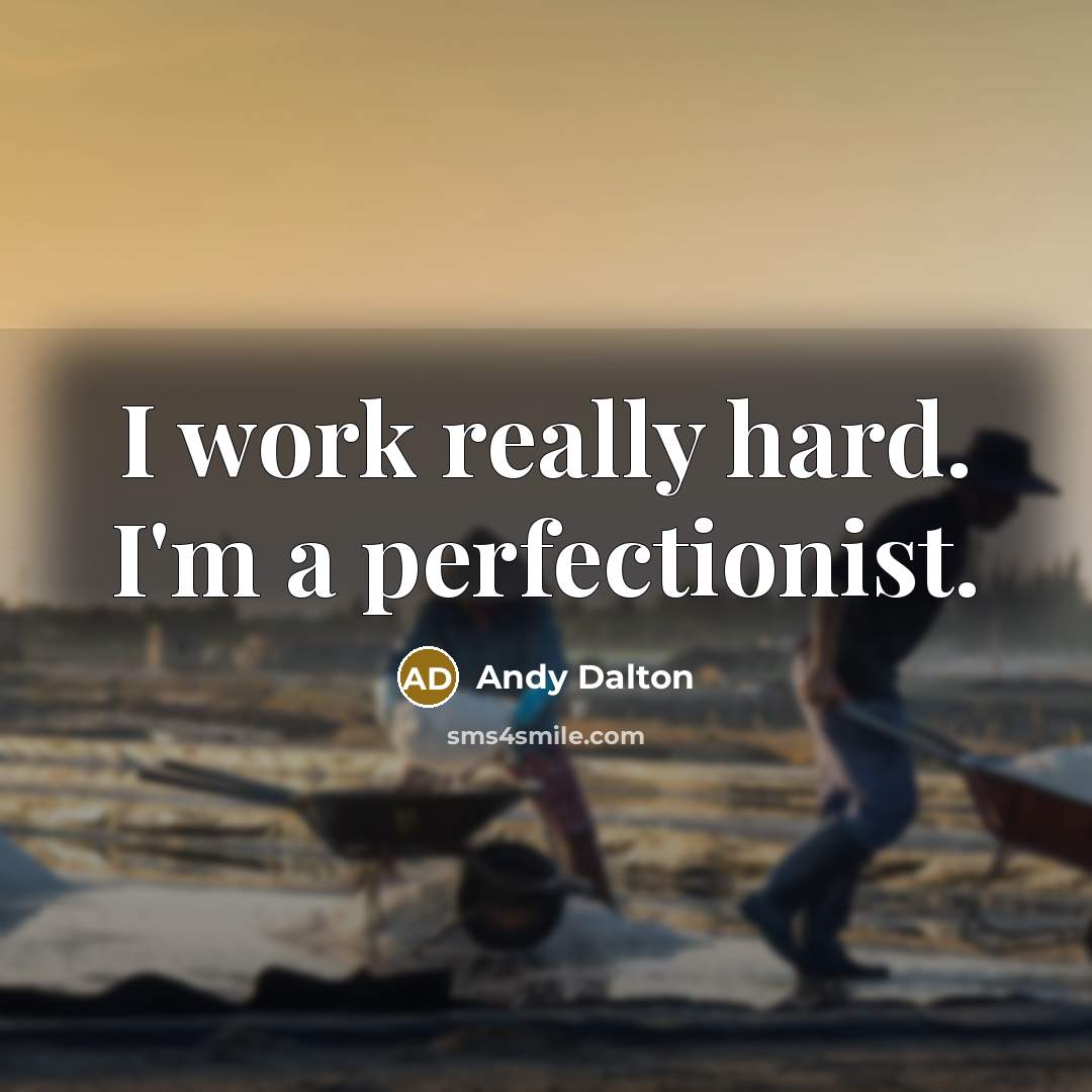 “I work really hard. I'm a perfectionist.” quote by Andy Dalton