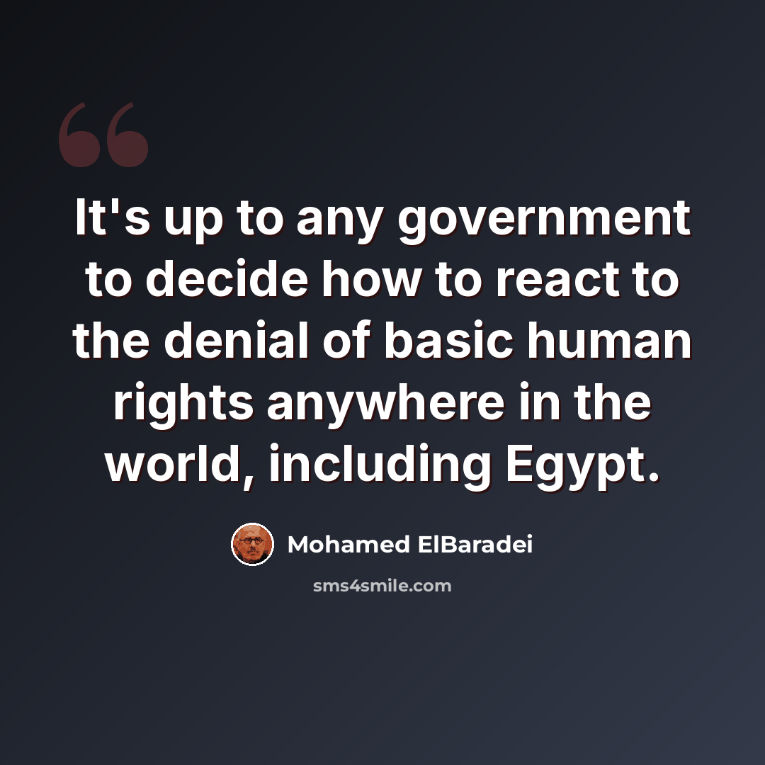 “It's up to any government to decide how to react to the denial of basic human rights anywhere in the world, including Egypt.” quote by Mohamed ElBaradei