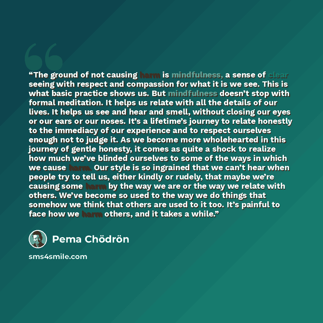 “The ground of not causing harm is mindfulness, a sense of clear seeing with respect and compassion for what it is we see. This is what basic practice shows us. But mindfulness doesn’t stop with formal meditation. It helps us relate with all the details of our lives. It helps us see and hear and…” quote by Pema Chödrön