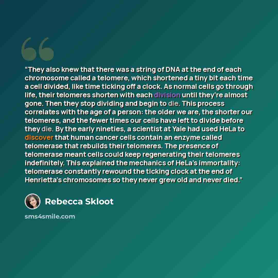 “They also knew that there was a string of DNA at the end of each chromosome called a telomere, which shortened a tiny bit each time a cell divided, like time ticking off a clock. As normal cells go through life, their telomeres shorten with each division until they’re almost gone. Then they stop…” quote by Rebecca Skloot