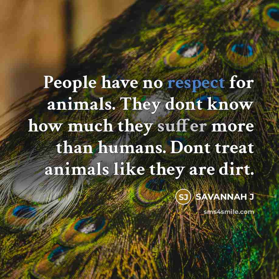 “People have no respect for animals. They dont know how much they suffer more than humans. Dont treat animals like they are dirt.” quote by Savannah J