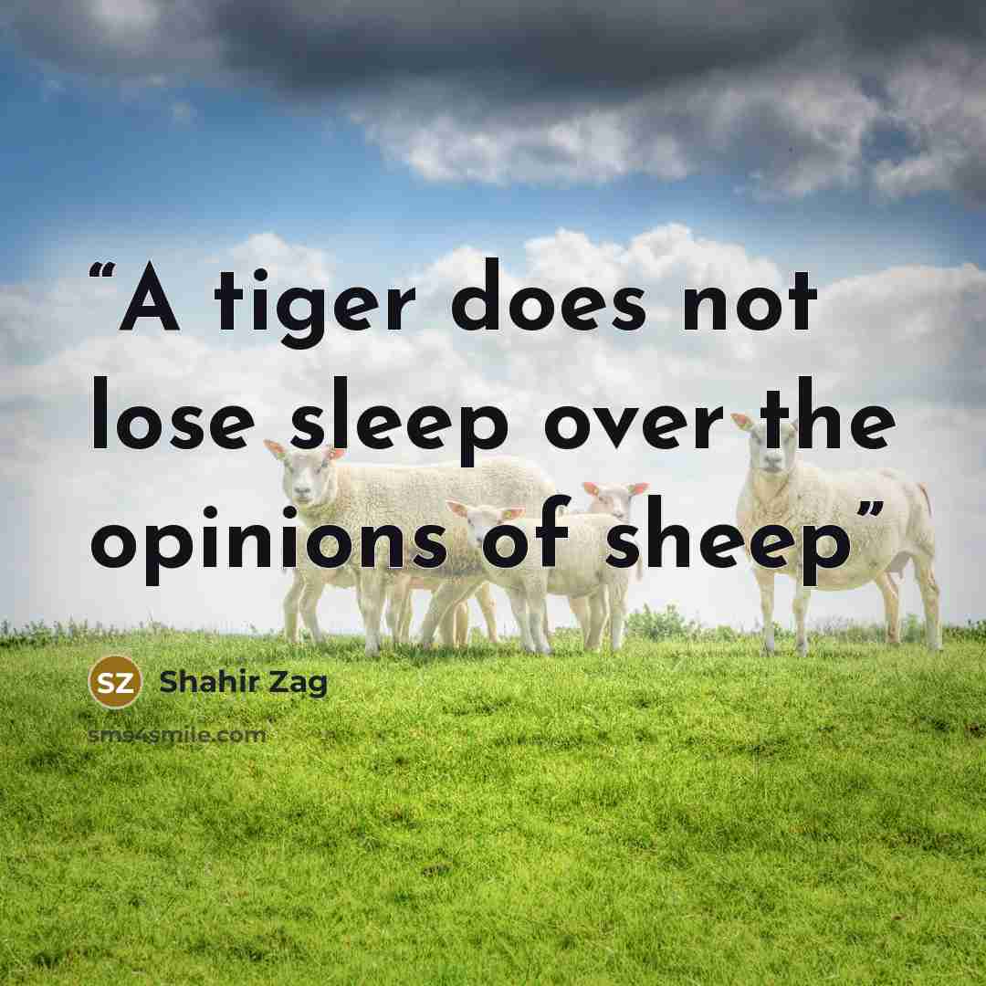 “A tiger does not lose sleep over the opinions of sheep” quote by Shahir Zag