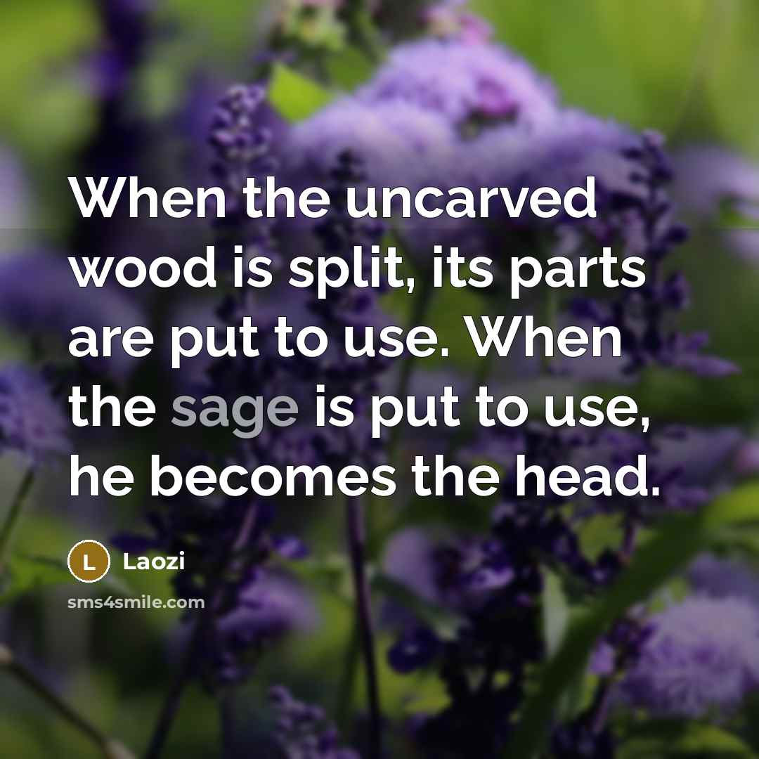 “When the uncarved wood is split, its parts are put to use. When the sage is put to use, he becomes the head.” quote by Laozi