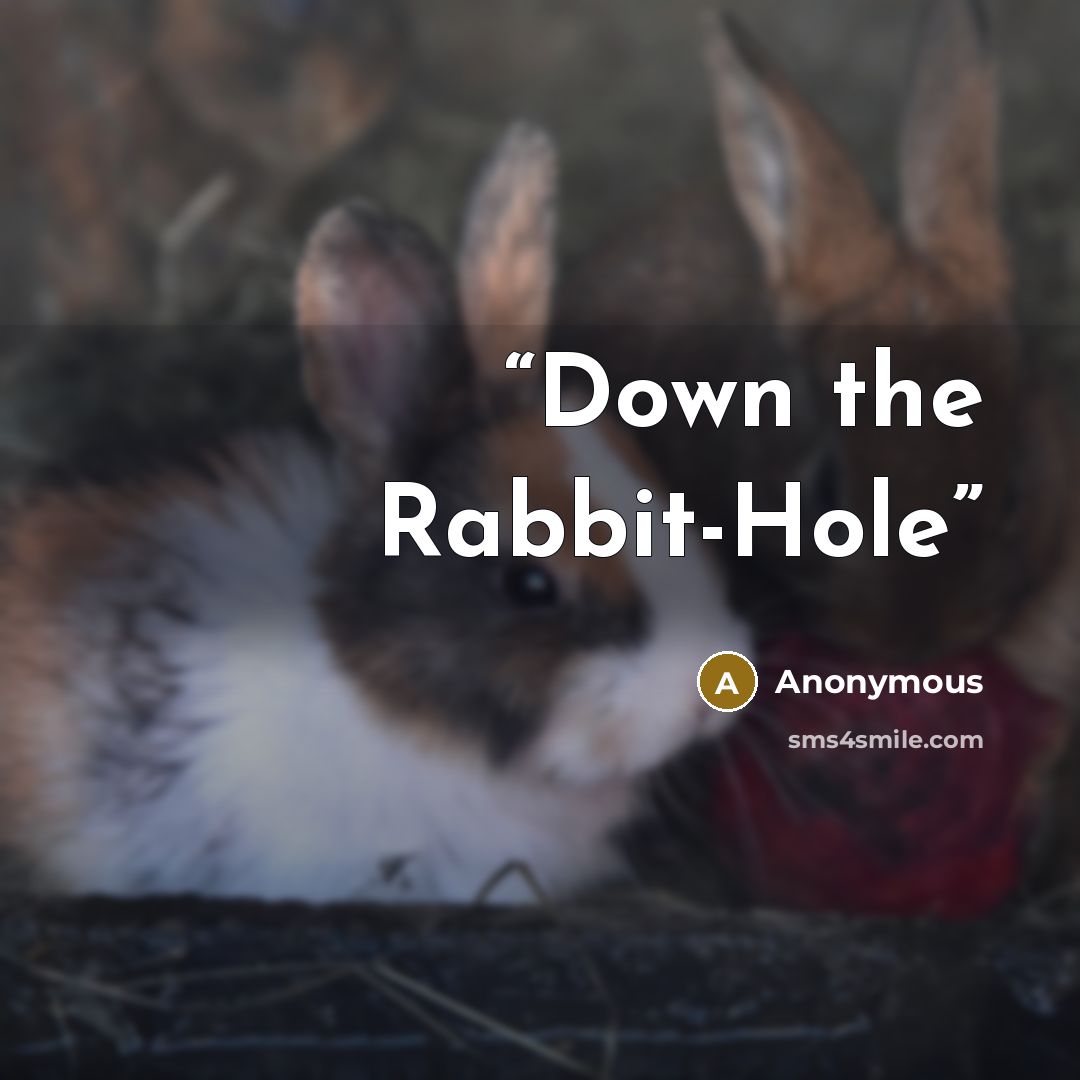 “Down the Rabbit-Hole” quote by Anonymous