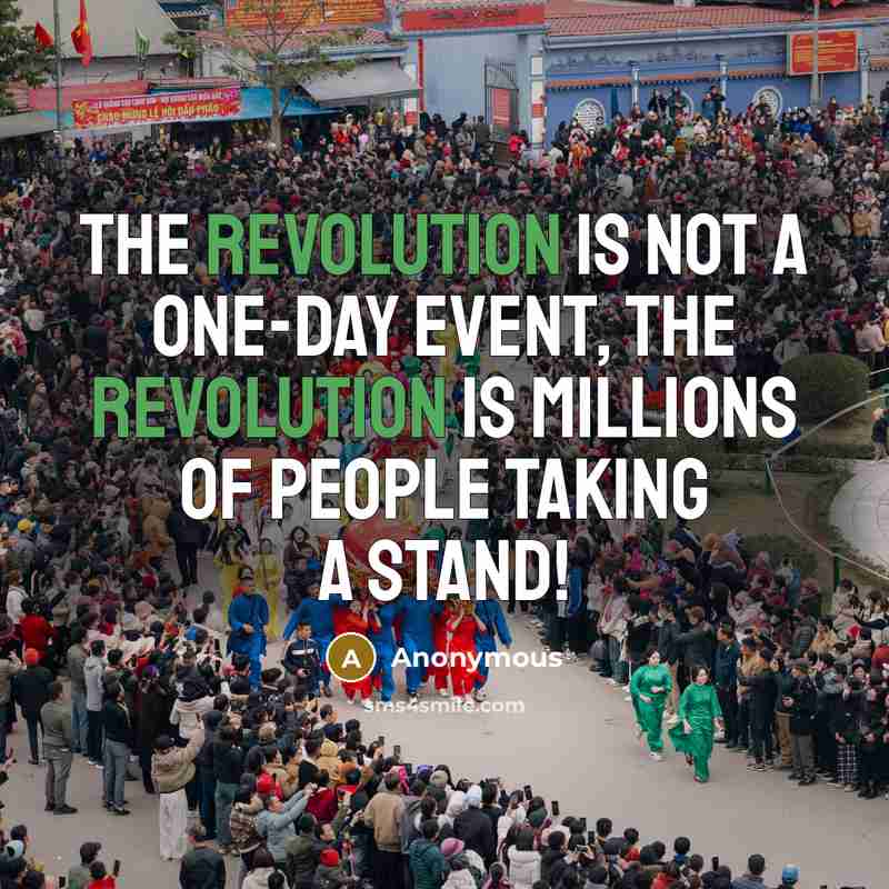 “The revolution is not a one-day event, the revolution is millions of people taking a stand!” quote by Anonymous