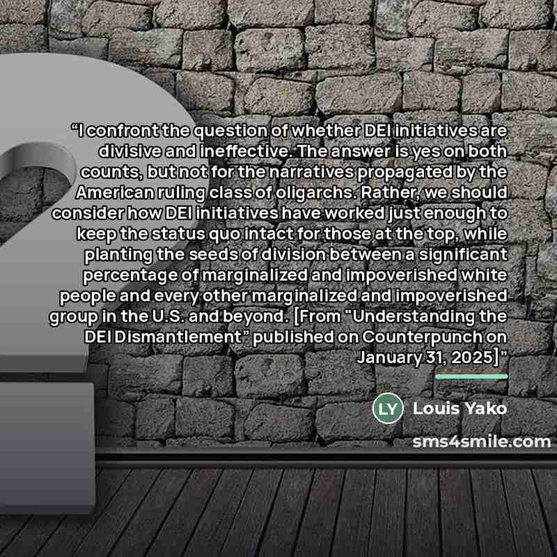 “I confront the question of whether DEI initiatives are divisive and ineffective. The answer is yes on both counts, but not for the narratives propagated by the American ruling class of oligarchs. Rather, we should consider how DEI initiatives have worked just enough to keep the status quo intact…” quote by Louis Yako