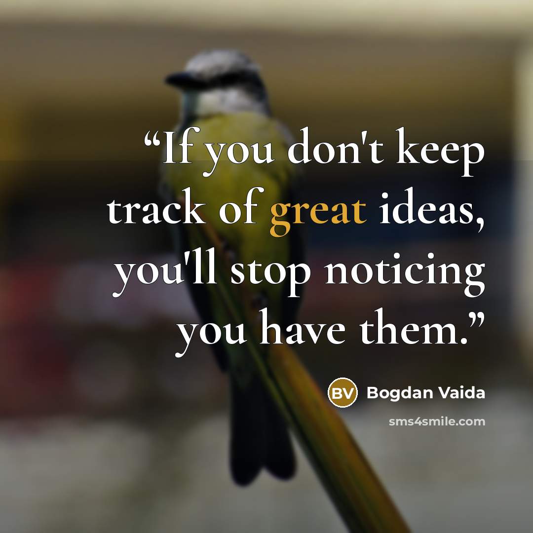 “If you don't keep track of great ideas, you'll stop noticing you have them.” quote by Bogdan Vaida