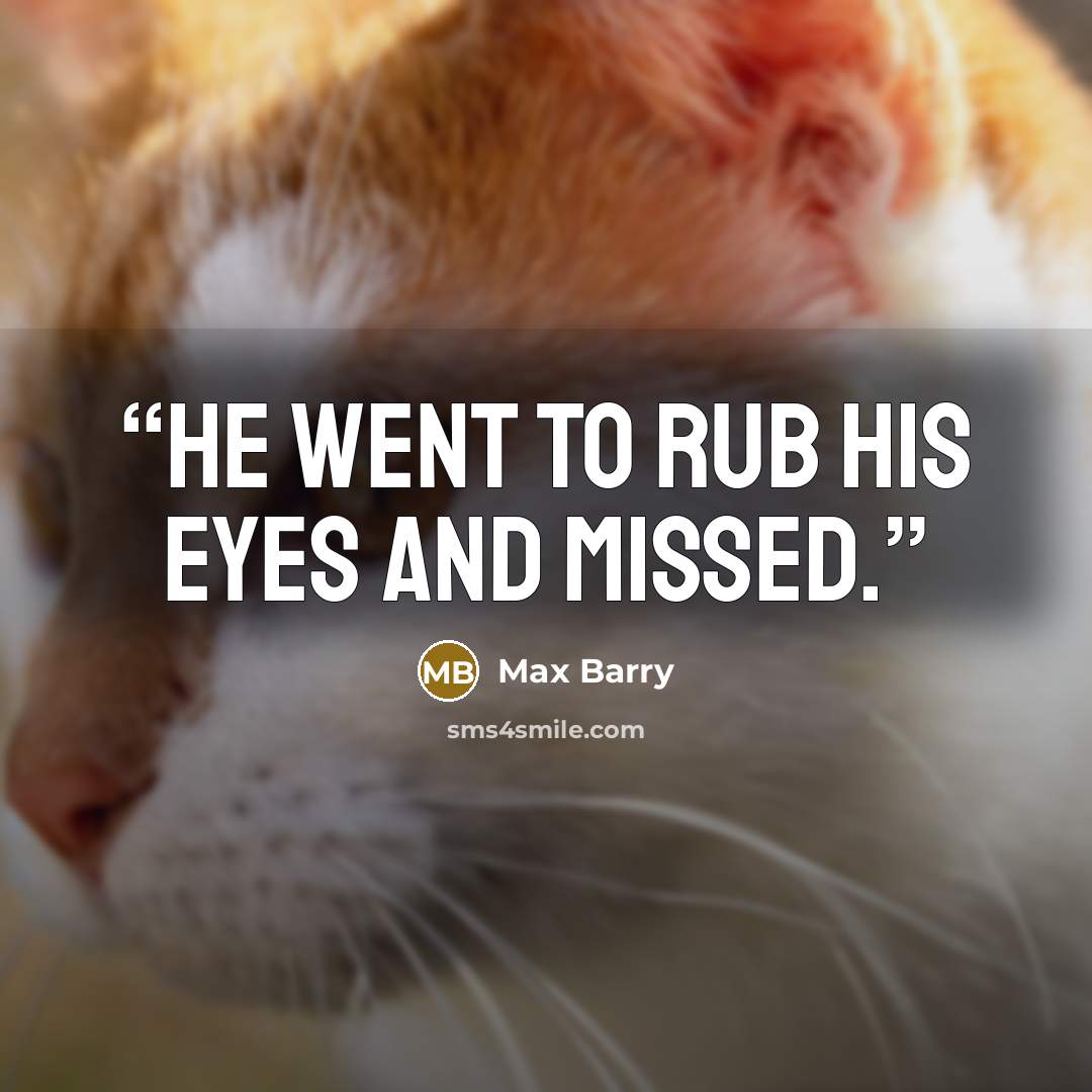 “He went to rub his eyes and missed.” quote by Max Barry