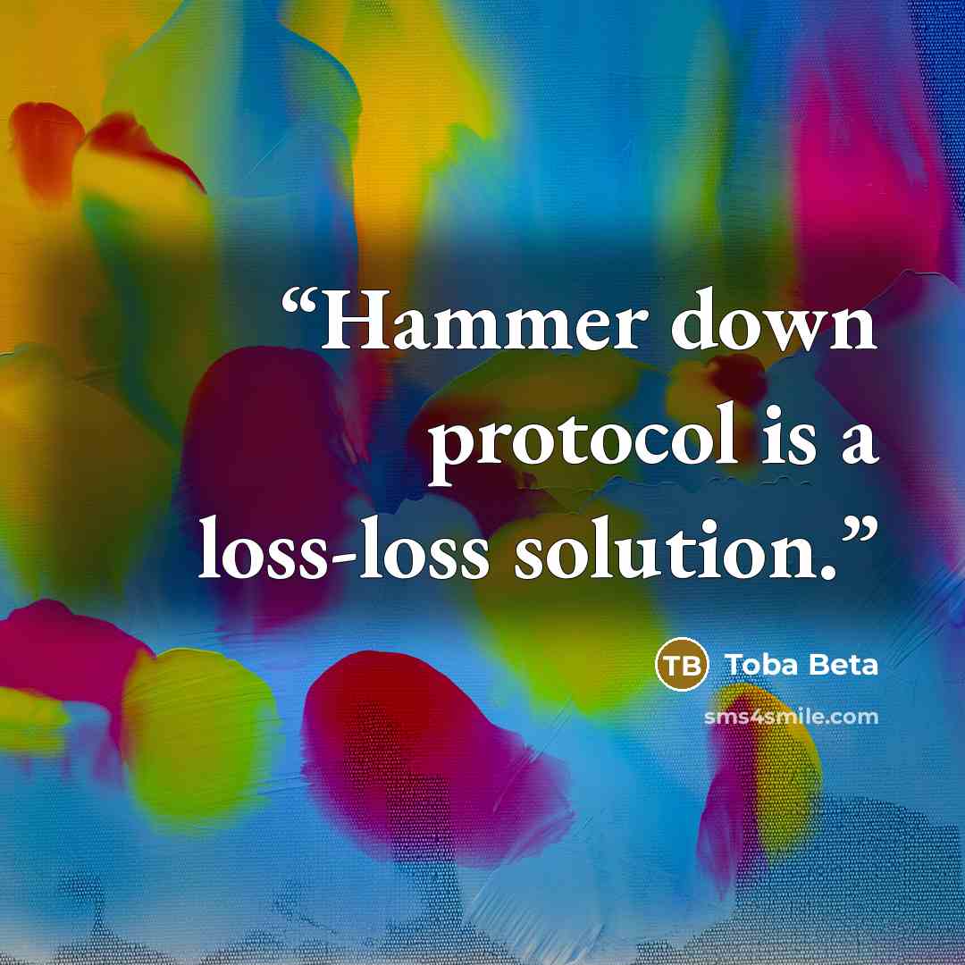 “Hammer down protocol is a loss-loss solution.” quote by Toba Beta