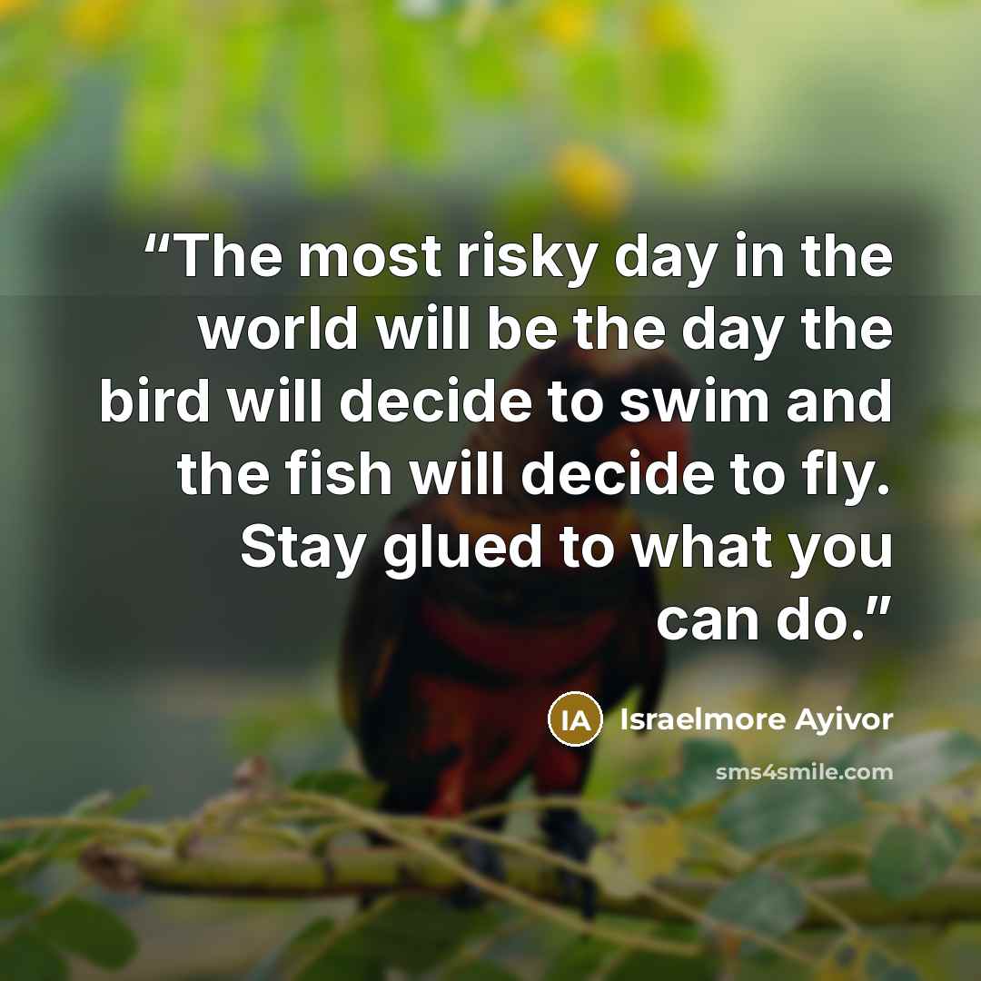 “The most risky day in the world will be the day the bird will decide to swim and the fish will decide to fly. Stay glued to what you can do.” quote by Israelmore Ayivor