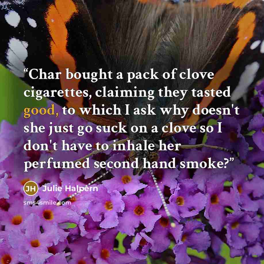 “Char bought a pack of clove cigarettes, claiming they tasted good, to which I ask why doesn't she just go suck on a clove so I don't have to inhale her perfumed second hand smoke?” quote by Julie Halpern