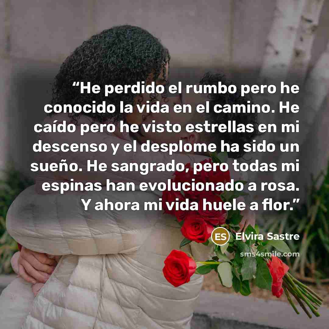 “He perdido el rumbo pero he conocido la vida en el camino. He caído pero he visto estrellas en mi descenso y el desplome ha sido un sueño. He sangrado, pero todas mi espinas han evolucionado a rosa. Y ahora mi vida huele a flor.” quote by Elvira Sastre