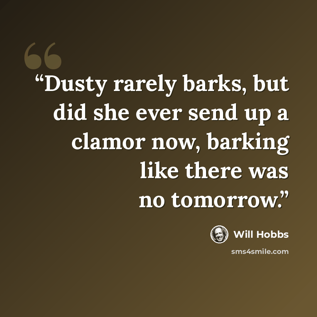“Dusty rarely barks, but did she ever send up a clamor now, barking like there was no tomorrow.” quote by Will Hobbs