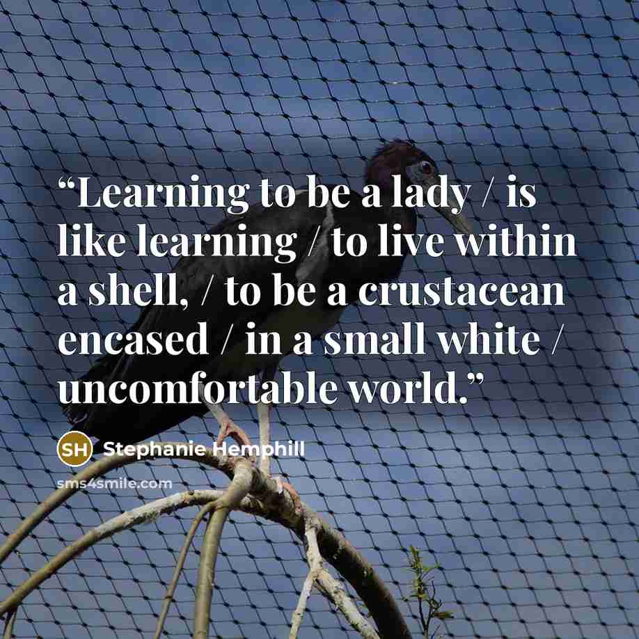 “Learning to be a lady / is like learning / to live within a shell, / to be a crustacean encased / in a small white / uncomfortable world.” quote by Stephanie Hemphill