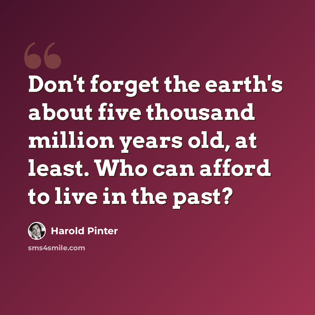 “Don't forget the earth's about five thousand million years old, at least. Who can afford to live in the past?” quote by Harold Pinter