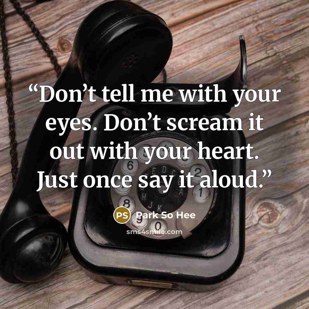 “Don’t tell me with your eyes. Don’t scream it out with your heart. Just once say it aloud.” quote by Park So Hee
