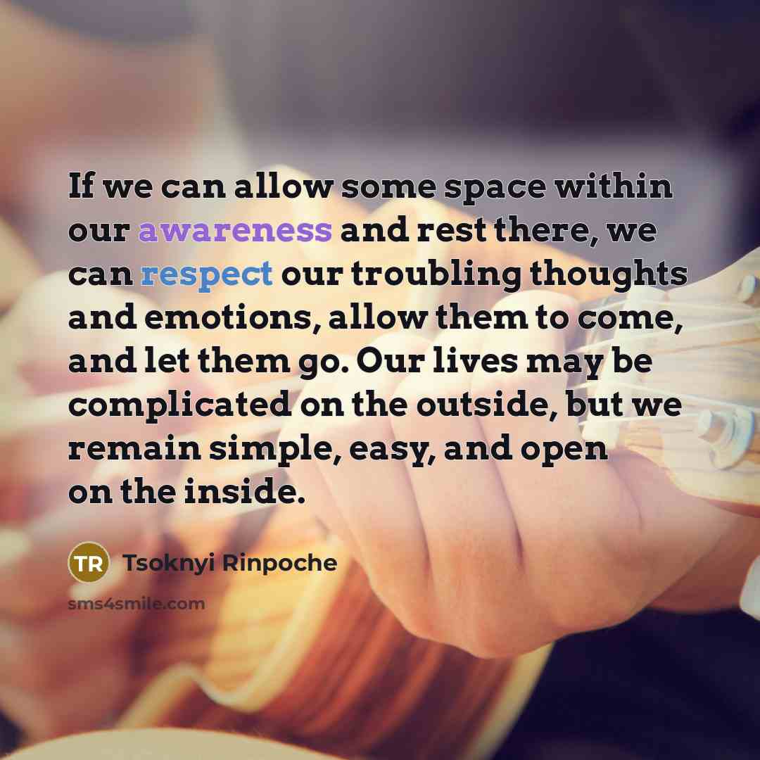“If we can allow some space within our awareness and rest there, we can respect our troubling thoughts and emotions, allow them to come, and let them go. Our lives may be complicated on the outside, but we remain simple, easy, and open on the inside.” quote by Tsoknyi Rinpoche