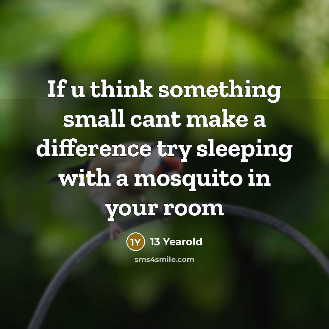 “If u think something small cant make a difference try sleeping with a mosquito in your room” quote by 13 Yearold