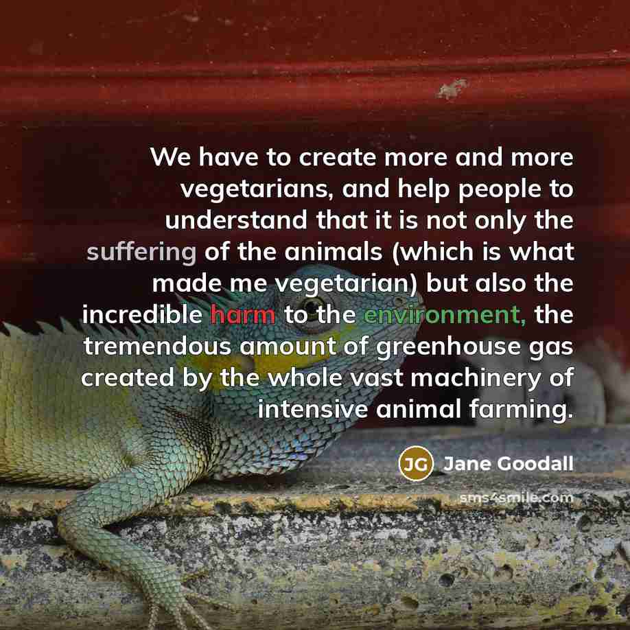 “We have to create more and more vegetarians, and help people to understand that it is not only the suffering of the animals (which is what made me vegetarian) but also the incredible harm to the environment, the tremendous amount of greenhouse gas created by the whole vast machinery of intensive…” quote by Jane Goodall