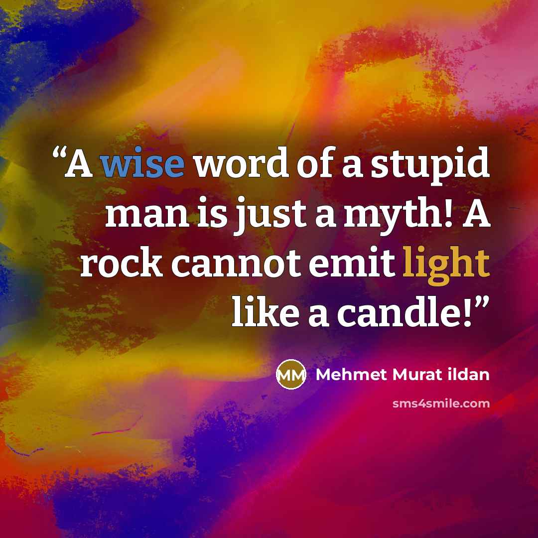“A wise word of a stupid man is just a myth! A rock cannot emit light like a candle!” quote by Mehmet Murat ildan