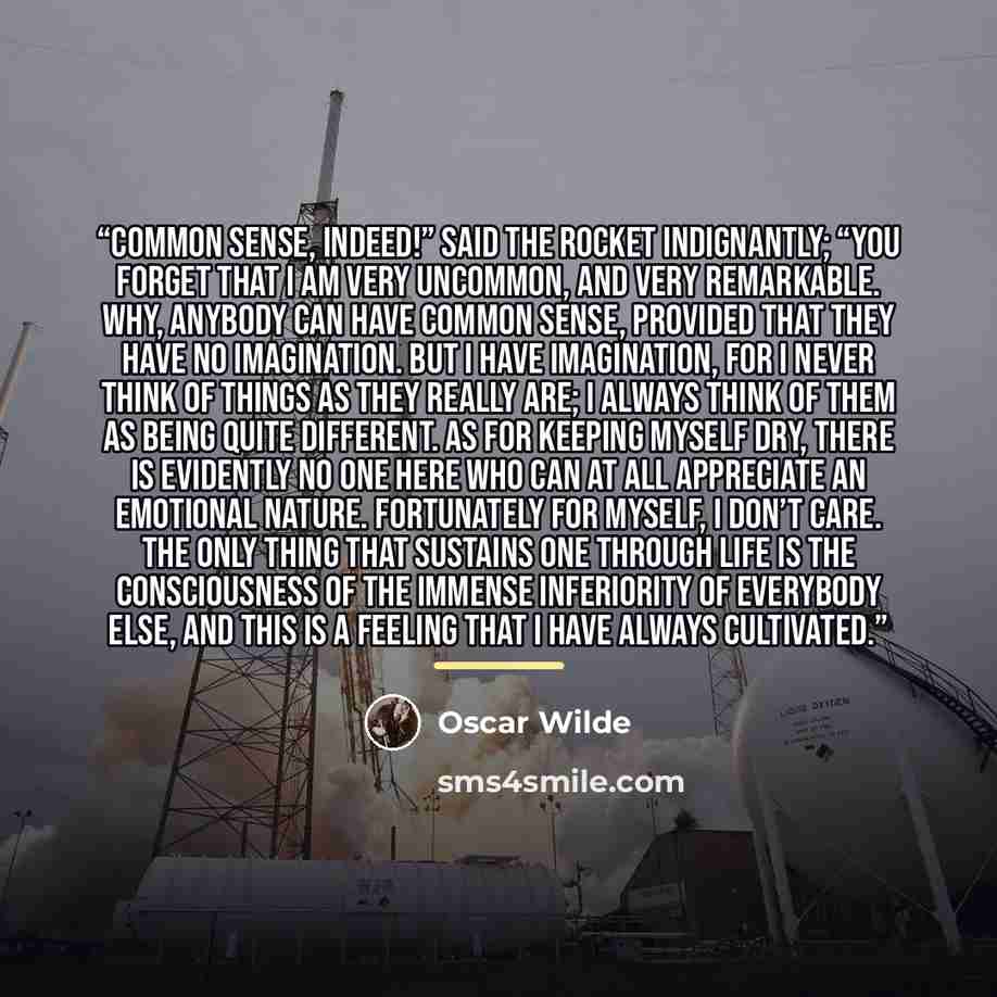“Common sense, indeed!” said the Rocket indignantly; “you forget that I am very uncommon, and very remarkable. Why, anybody can have common sense, provided that they have no imagination. But I have imagination, for I never think of things as they really are; I always think of them as being quite…” quote by Oscar Wilde