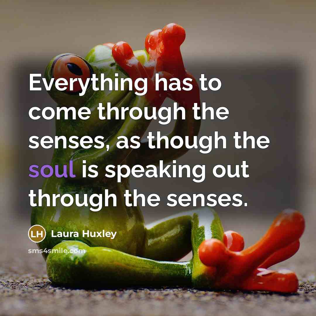 “Everything has to come through the senses, as though the soul is speaking out through the senses.” quote by Laura Huxley