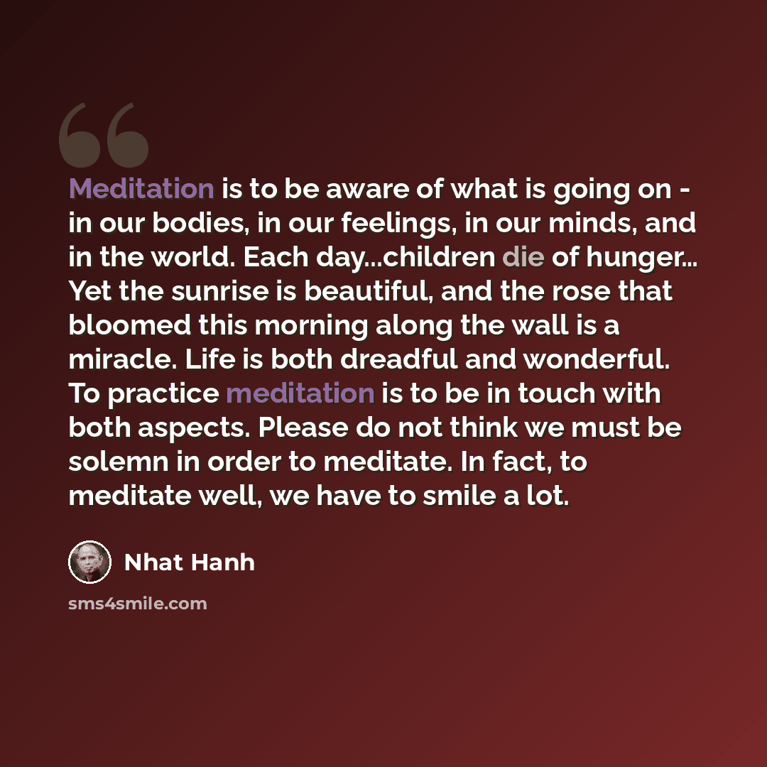 “Meditation is to be aware of what is going on - in our bodies, in our feelings, in our minds, and in the world. Each day...children die of hunger… Yet the sunrise is beautiful, and the rose that bloomed this morning along the wall is a miracle. Life is both dreadful and wonderful. To practice…” quote by Nhat Hanh